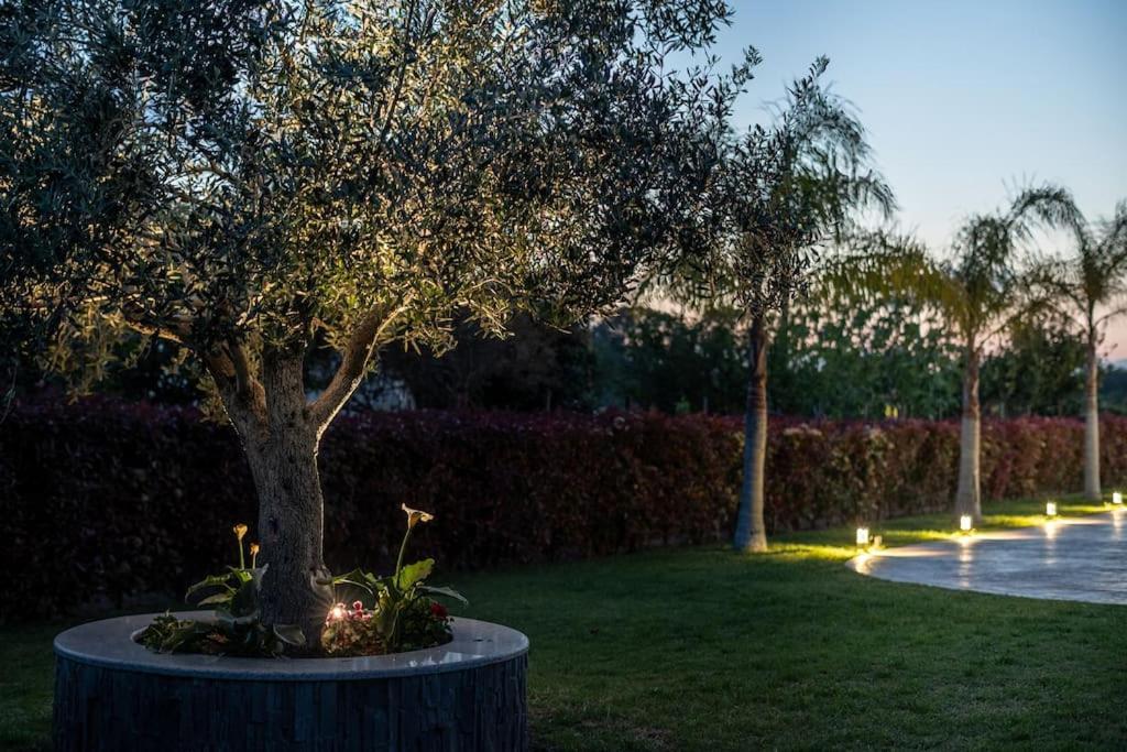 "Aeolos" Luxury Villa Preveza Ngoại thất bức ảnh